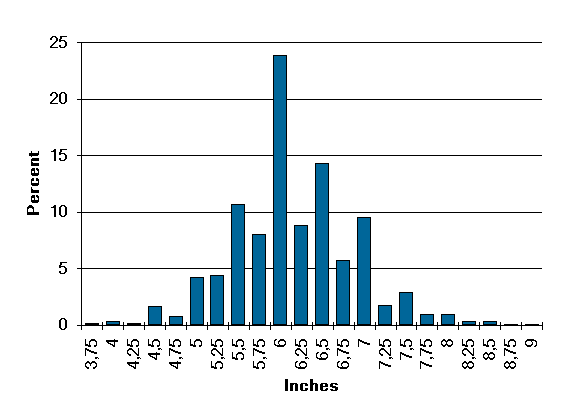 Penis Length in Inches