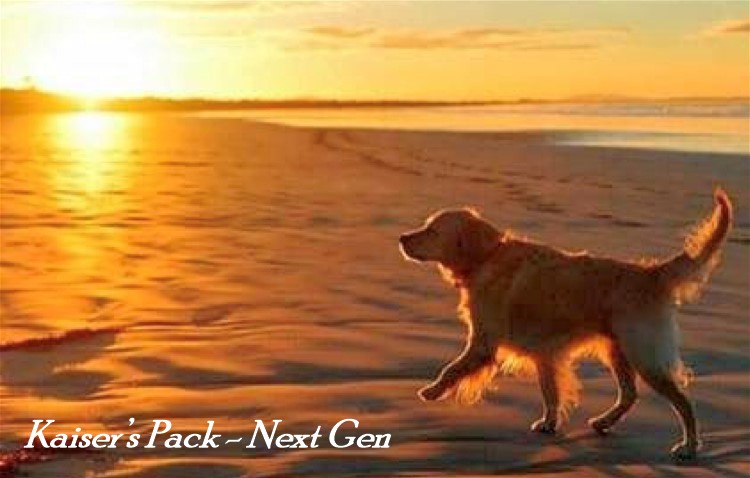 Kaiser's Pack- Next Gen, by Bensiamin Kaiser's Pack- Next Gen, by Bensiamin