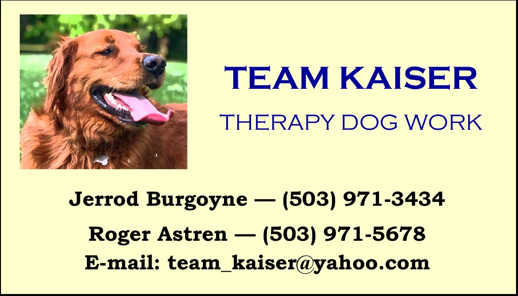 Team Kaiser Business Card