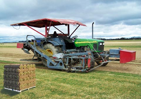 Singletrack Mind - Turfed Out: Turf Cutter / Sod Cutter