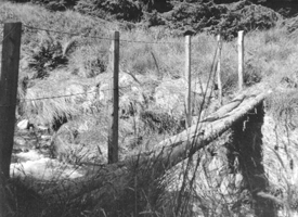 First Bridge over the River Severn